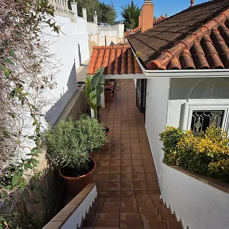 Villa Lloret Blau Villa *
